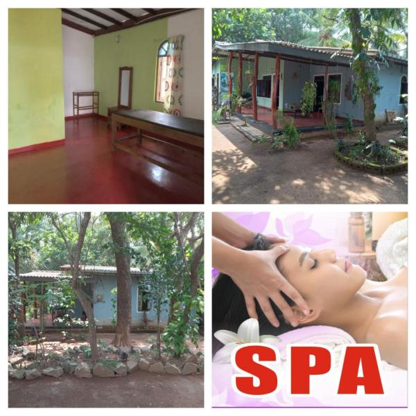 Habarana   Spa  , best  massage  service