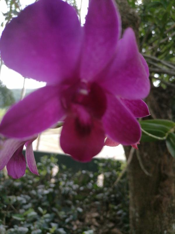 කාන්තාවන් සදහා පමණි