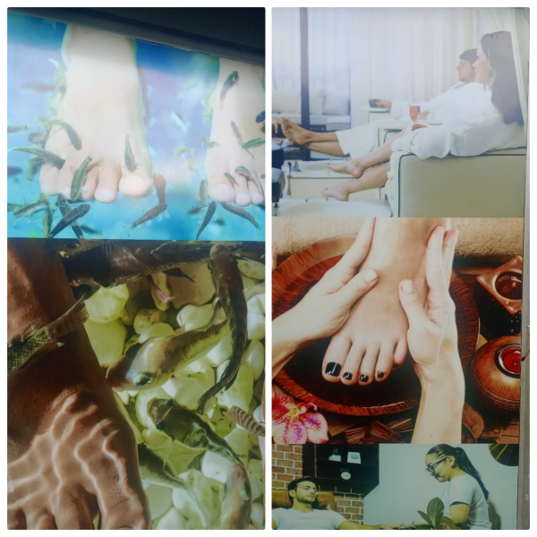 FISH   THERAPHY   &  BODY   CARE