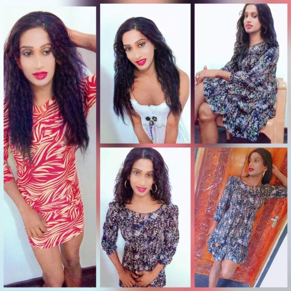 ❤️ shemel / ලේඩි බෝයි Available minuwangoda Area taniya
